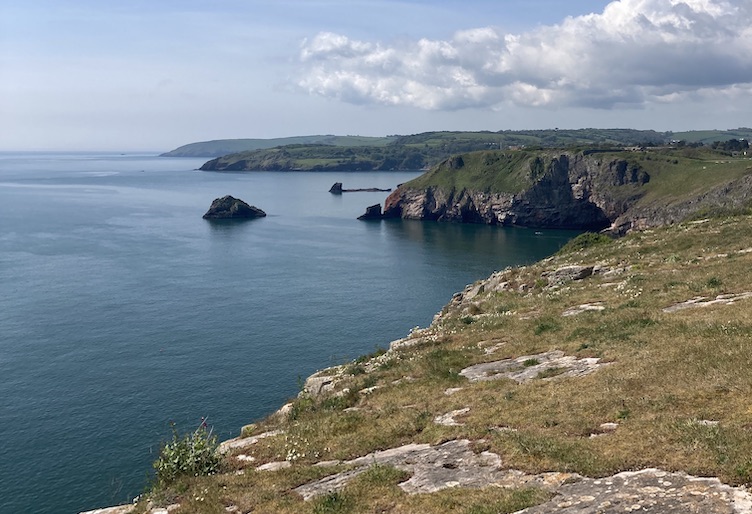 Berry Head Nature Reserve, Brixham